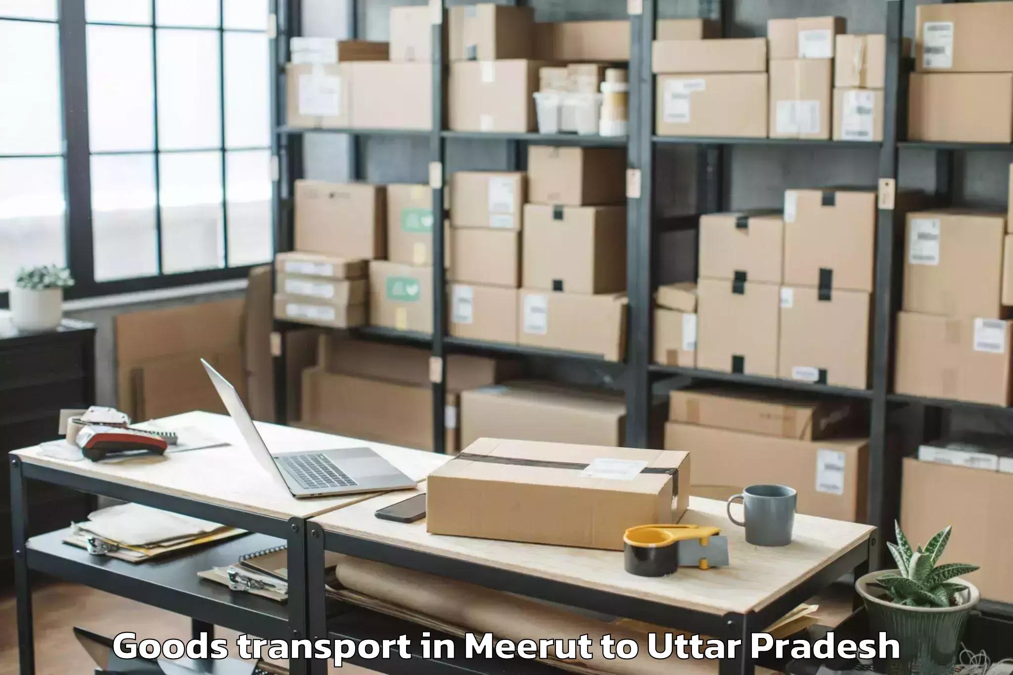 Professional Meerut to Bahua Goods Transport